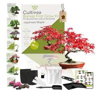 CULTIVEA® Kit First Bonsai- Kit de première culture de Bonsaï - Prêt à Pousser avec Graines & Accessoires - Idée Cadeau Jardinage (Japanese Maple)