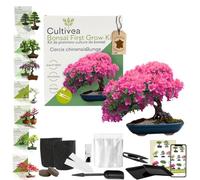 CULTIVEA® Kit First Bonsai- Kit de première culture de Bonsaï - Prêt à Pousser avec Graines & Accessoires - Idée Cadeau Jardinage (Cercis chinensisBunge)
