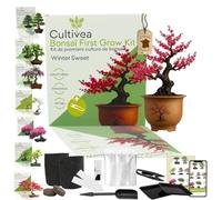 CULTIVEA® Kit First Bonsai- Kit de première culture de Bonsaï - Prêt à Pousser avec Graines & Accessoires - Idée Cadeau Jardinage | (Wintersweet)
