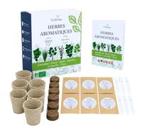 Cultivea® Kit Herbes Aromatiques Intérieur - 6 Plantes à Faire Pousser (Basilic, Menthe, Persil, Thym, Ciboulette, Coriandre) - Potager Intérieur Prêt à Planter - Idée Cadeau Originale