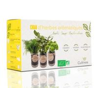 CULTIVEA® Kit Herbes Aromatiques Intérieur Bio - Aneth, Sauge et Basilic Citron à Faire Pousser - Mini Potager Intérieur avec Bocaux en Verre - Kit Plantes Aromatiques - Idée Cadeau