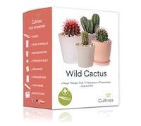 Graines cactus - kit prêt à pousser