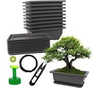 Cultivea® - Lot de 10 Pots pour Bonsai avec Soucoupe - Kit Complet pour Culture et Entretien : Pots en Plastique avec Fil Bonsai, Sécateur, Bouchon Arrosoir et Drainage Intégré G