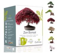CULTIVEA® Mini Kit Prêt à Pousser 6 Bonsaï - Jardinez et décorez - Idée Cadeau (Red Mapple, Chinese Cercis, Albizia, Cornus Kousa, Norway Spruce) - Made in France