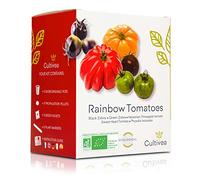 Cultivea® Mini - Kit Prêt à Pousser Tomates colorées - Graines bio - Idée Cadeau (Black Zebra, Green Zebra, Hawaiian Pineaple,Coeur de Boeuf, Physalis Ixocarpa) - Kit Semis Tomates Complet