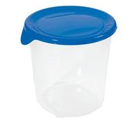 Curver 2045227 Fresh&Go Boîte Fraîcheur Plastique Transparent/Bleu 1,0 L