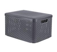 Curver Boîte de rangement avec couvercle Style L 30 L Argent métallisé