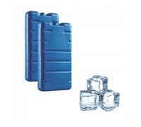 CURVER Ice Pack Insert pour réfrigérateur de voyage 2 pièces