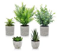 CUULANIX 5 Pieces Plantes Artificielle, Petite Fausse Plantes Interieur, Serpentine, Agave succulentes, Griffe d'aigle Aloe Vera pour la décoration de la Maison et Bureau