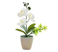 CWOQOCW Orchidée artificielle dans un pot de vase, orchidée en pot au toucher réaliste, faux bonsaï phalaenopsis pour bureau, maison, fête de mariage, décoration d'intérieur (blanc)