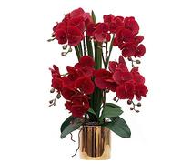 CXGS Orchidée Artificielle au Toucher réaliste dans Un Vase en céramique de 53 cm - Orchidée phalaenopsis Rouge - Arrangement Floral - Décoration d'intérieur