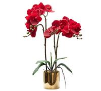 CXGS Orchidée Artificielle au Toucher réaliste dans Un Vase en céramique Rouge, 50 cm, Arrangement Floral phalaenopsis pour Centre de Table, décoration d'intérieur