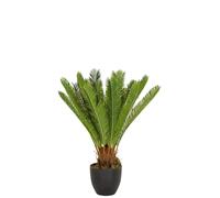CYCAS - Plante artificielle Vert