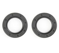 cyclingcolors 2X Joint SPI Spy Tondeuse Tracteur Moteur carburateur Compatible avec Briggs & Stratton N° 399781