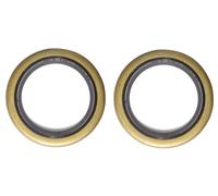 cyclingcolors 2X Joint SPI Spy Tondeuse Tracteur Moteur carburateur Compatible avec Briggs & Stratton N° 294606