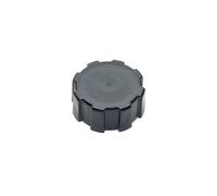cyclingcolors bouchon essence tondeuse tracteur débroussailleuse compatible avec GGP OM45/ RV150/ SV150/ SV200, Honda GXV120/GXV160 17620-ZE7-000/2289833/18550001/0