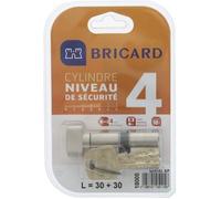 Bricard 18005 Cylindre de serrure Serial XP 30+30 Nickelé