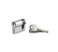 Cylindre de serrure rantée Ecopro nickelé - Demi-cylindre - 30 x 10 - Varié - THIRARD - 00007948