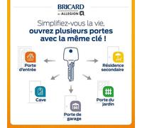 Cylindre débrayable Bricard 30+30/30+30/30+40 avec 6 clés