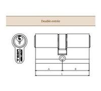 tesa Cylindre double de sûreté TE5 30 x 80 mm laiton nickelé 3 clés - 503L