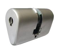 Cylindre monobloc ovoïde BLOCTOUT 33 x 33 mm inox BRICARD 4260028