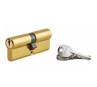 Cylindre profilé ECOPRO laitonné THIRARD 40x40 Vis de 40 mm - 00007191