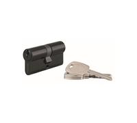 Cylindre standard double entrée, 30 x 30 mm, anti-déchirure, noir, 3 clés, profil en laiton européen, mécanisme à 5 broches, foret anti-déchirure, idéal pour une installation temporaire, THIRARD