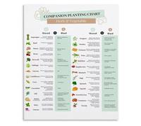 CZMDKEXM Companion Planting and Seed Starting Guide Vegetable Gardening Poster Educational Wall-Art for Home Kitchen Decor 8 X 12 in