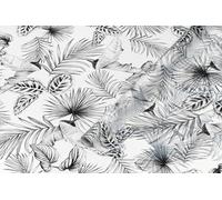 d-c-fix Film pour fenêtre Anti Regard Botanicals 67,5 cm x 1,5 m | film occultant statique pour vitres à motif moderne - adhérence statique, opaque, décoratif