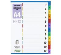 D.RECT Intercalaires A4 PP12-12 intercalaires à anneaux - Chiffres 1-12 - Multicolores - Séparateur de couleur en polypropylène