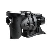 DAB Euroswim 100 M Pompe piscine