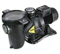 DAB Euroswim 100 T Pompe piscine