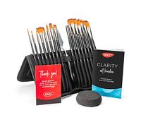 DACO Clarity Lot de 16 pinceaux de peinture pour artiste, couteau à palette, éponge, support et organisateur, pinceaux pour peinture acrylique, peinture aquarelle, peinture à l'huile, gouache