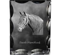 Dänisches Warmblut - crystal with a picture of a horse, glass statuette with a picture, unique frame with a picture from Art-Dog brand
