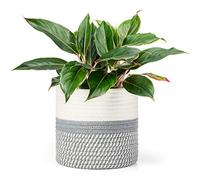 Dahey Mini Panier de Rangement tissé en Corde de Jute et Coton pour Pot de Fleurs jusqu'à 17,8 cm, Housse de Pot de Fleurs décoratif, bac de Rangement, Organiseur de Table, Bureau, décoration