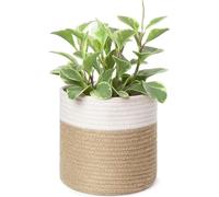 Dahey Petit panier à plantes en corde de coton tissée enroulée pour pot de fleurs jusqu'à 17,8 cm, cache-pot de fleurs décoratif, bac de rangement, organiseur de table et de bureau pour décoration
