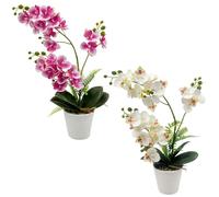 Daily Treasures Lot 2 orchidées phalaenopsis artificielles, Blanc & Violet | 43cm,pot plastique blanc, 21 fleurs par plante, impression 3D réaliste,tiges modulables, lot 2 blanc/violet, sans entretien
