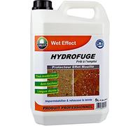 DALEP - Protecteur Effet Mouillé - Silicone - Sealant - 1L (1000ml) - Transparent - Pour Murs et Terrasses - 5m²/2 Couches