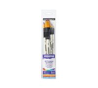 Daler Rowney Graduate - Set 5 pinceaux synthétiques pour l'aquarelle paysage