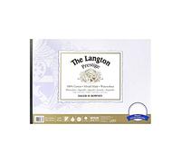 Daler-Rowney The Langton Prestige Bloc de papier aquarelle 300 g/m² 50,8 x 35,6 cm, collé 1 face, sans acide, 12 feuilles blanches naturelles, idéal pour les artistes professionnels