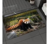 DALEXHM Tapis de Bain 60x100cm, antidérapant,Doux,Absorbant l'eau,en Microfibre,pour la Salle de Bain,Lavable en Machine,La scène de guérison du Panda Roux dans la forêt