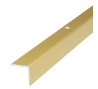 Dalsys Profilé de nez de marche 100cm x 42mm x 20mm Or aluminium | Profilé de protection de bord pour marches d'escalier, antidérapant, montage à visser, protection de la marche