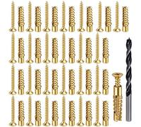 Dammy Lot de 50 chevilles et vis d'expansion pour cloison sèche, 6 × 32 mm | Vis de réparation de charnière et ancrage d'expansion - Charnière de porte d'armoire - Rénovation de filetage dénudé