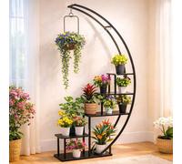 DanDiBo Étagère à fleurs indoor 170 cm de haut Métal noir semi-circulaire 96585 Escalier pour fleurs Grand rond Support pour plantes Design moderne