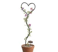 DanDiBo Tuteur pour plante grimpante Cœur Support pour plante grimpante en métal 147 cm Tuteur de sol Tuteur Grille pour plante grimpante