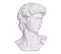 danila-souvenirs Buste Statue Sculpture en marbre de David de Michel-Ange, Tête Grecque Romaine Classique 15 cm, 770 g