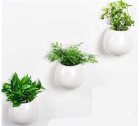 DARANCA Pots de Fleurs Suspendus, 3 Paquets de jardinières murales en céramique Blanche, décoration intérieure et extérieure, Mini Porte-Plantes, Supports de Fleurs, Plantes murales