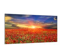 DarHaus Cache-plaque en verre - 90 x 52 cm - pour cuisinières électriques ou à induction - Plaque de protection anti-éclaboussures, planche à découper décorative aspect, Paysage Coquelicots