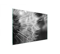 DarHaus Couvercle pour plaque de cuisson universelle en céramique, à induction, Planche à découper en verre 40 x 30 cm, protection anti-éclaboussures, plaque en verre, cuisine, Pissenlit Fleur