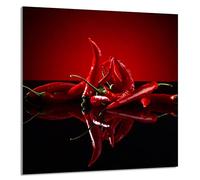 DarHaus Protection anti-éclaboussures en verre trempé 60 x 65 cm - Verre décoratif avec ruban adhésif - Paroi arrière en verre pour cuisine - Plaque de protection induction, Chili Rouge
